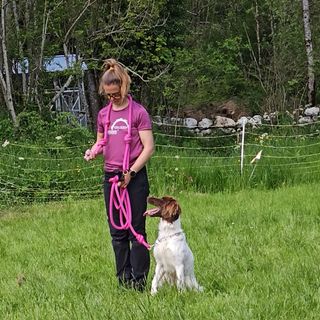 Photo illustrant les méthodes d'éducation canine de Rio and co, éducateur canin à Faverges en Haute Savoie